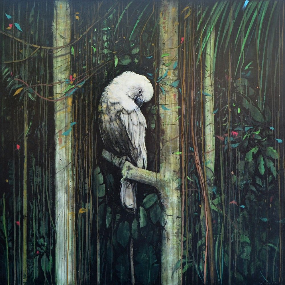Cacatua I