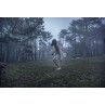 Nebel XI