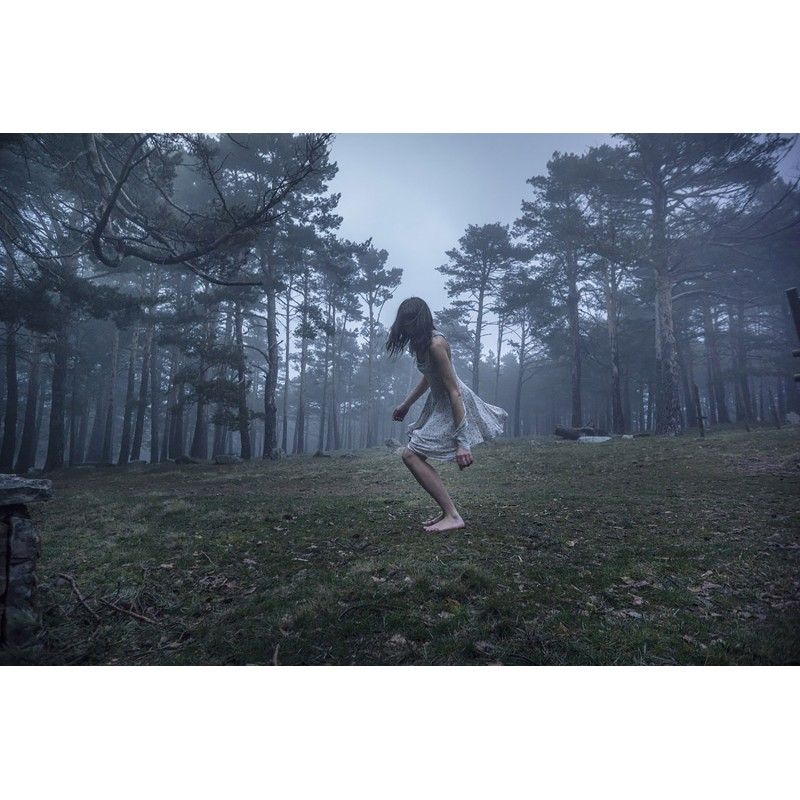 Nebel XI