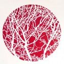 Red Nature