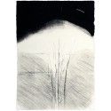 ON PAPER V