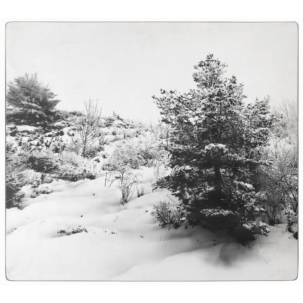 Paisaje nevado