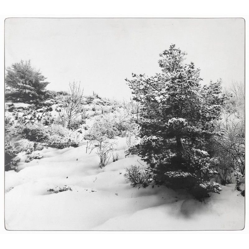 Paisaje nevado