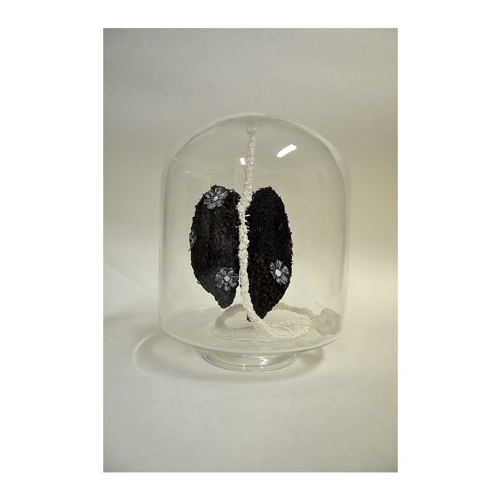 Pulmones