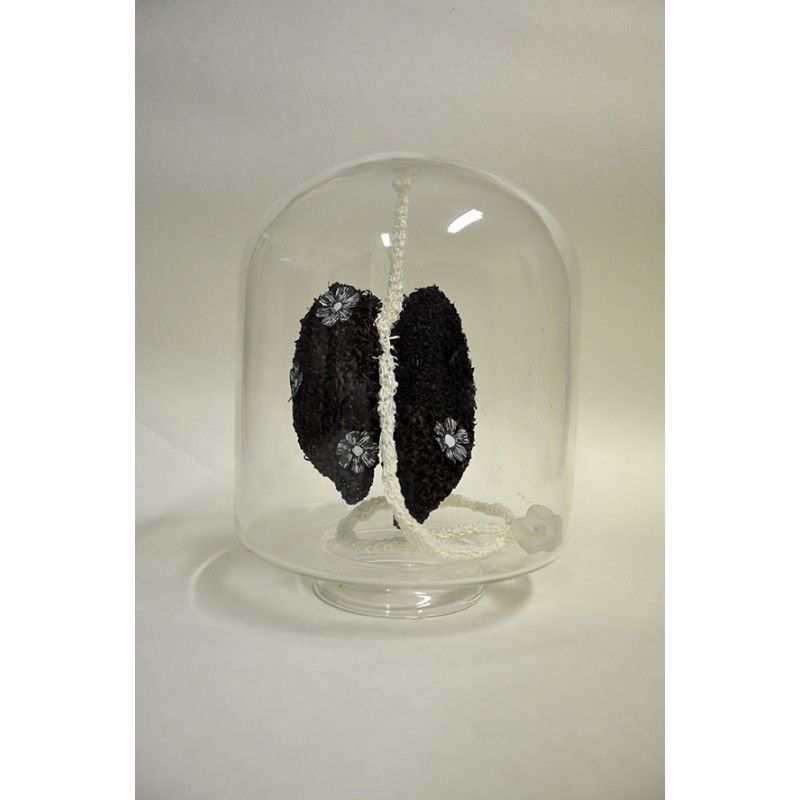Pulmones