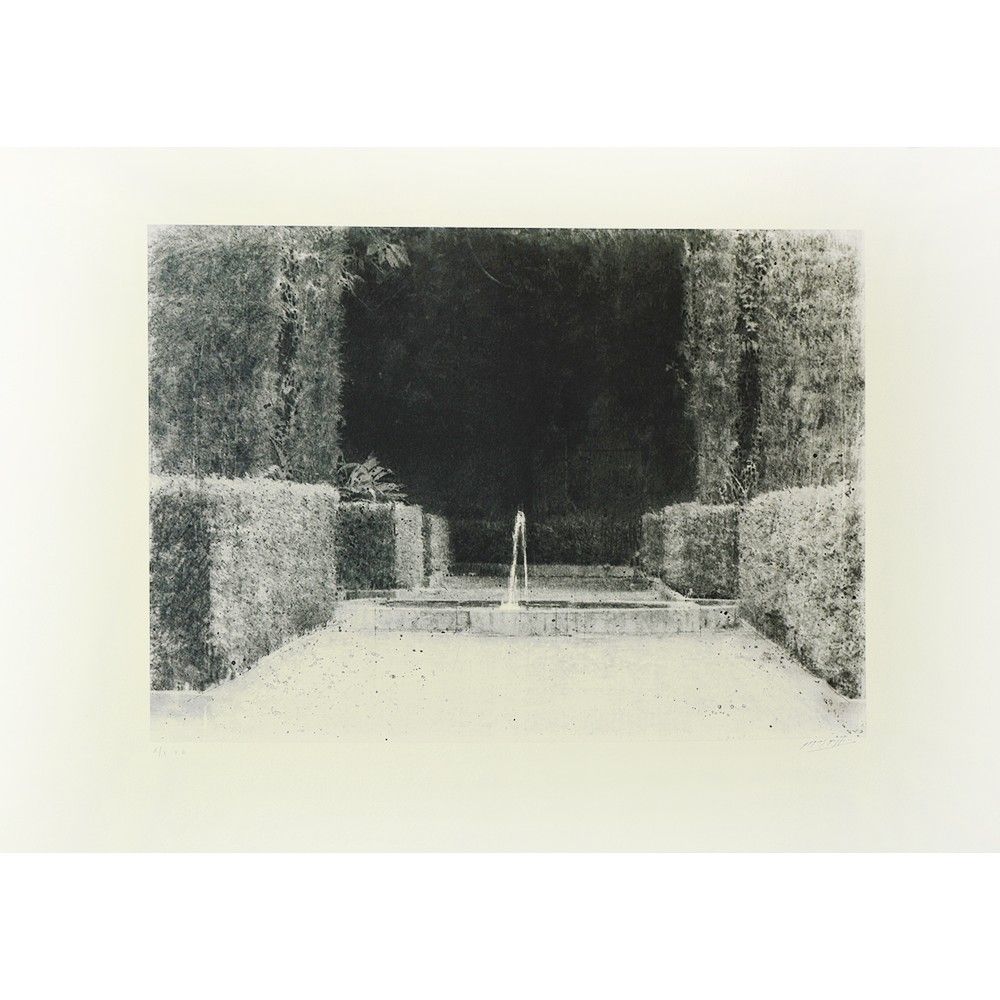 Serie Jardines III