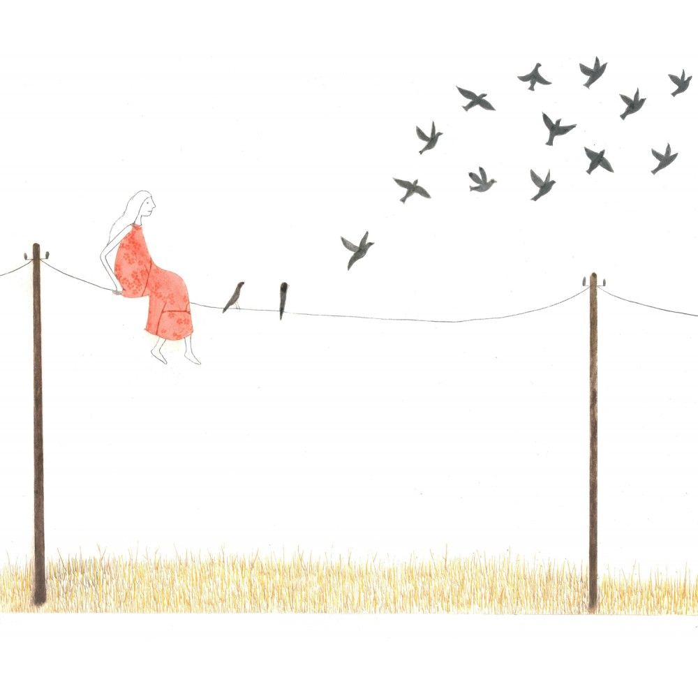 A volar!